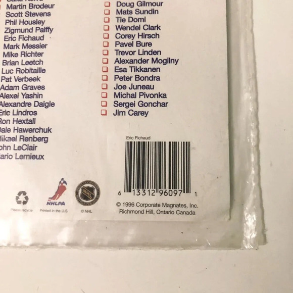 Lot  of 4 Collectable Hockey Magnets Mario Lemiuex Alex Mogilny Eric Fichaud - Picture 15 of 16